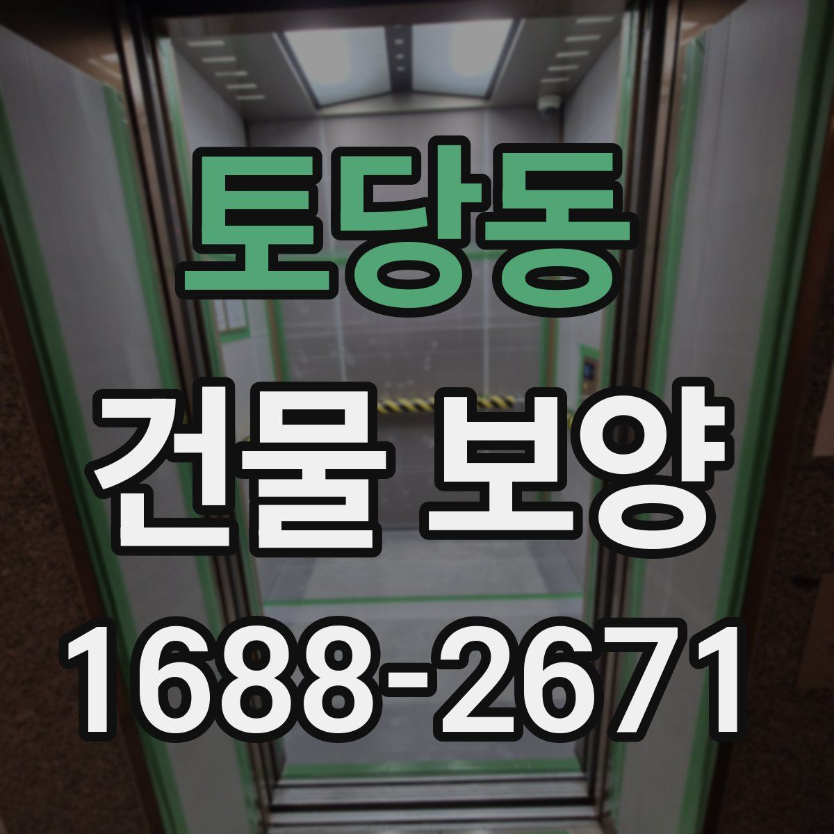 토당동 건물 보양