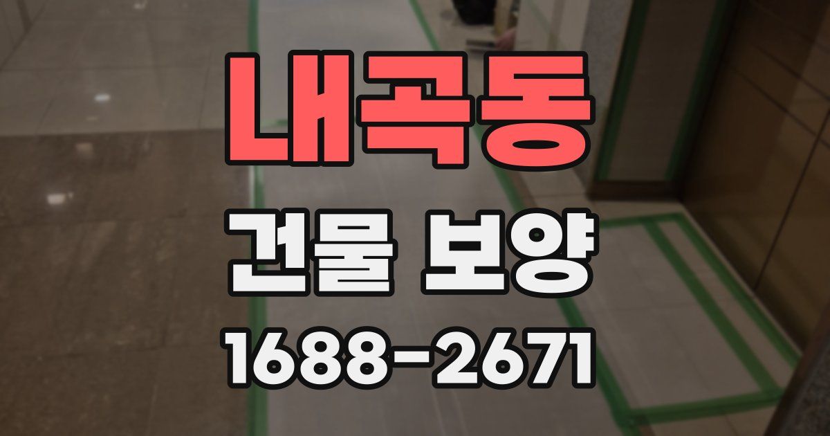 내곡동 건물 보양