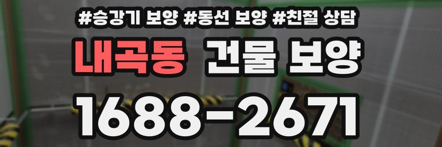 내곡동 건물 보양