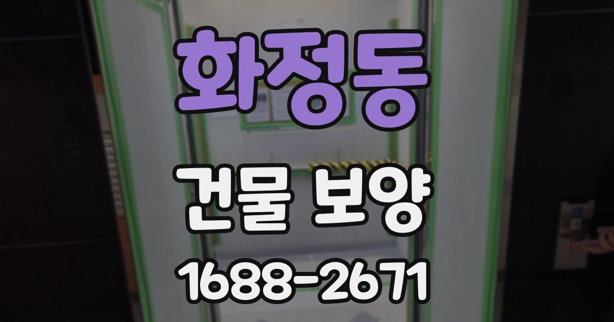 화정동 건물 보양