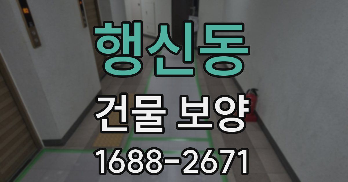행신동 건물 보양
