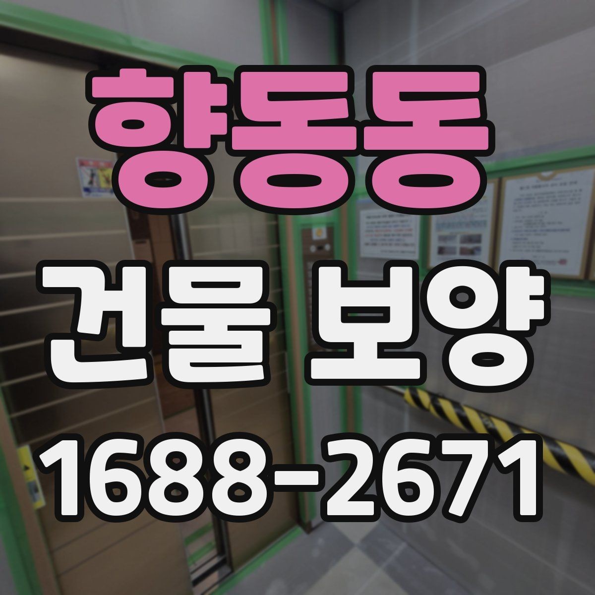향동동 건물 보양 공정별 주의사항 정리
