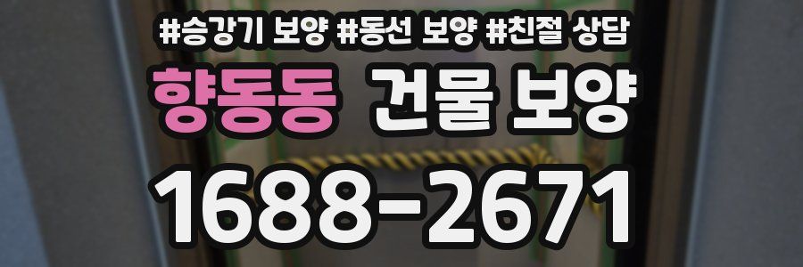 향동동 건물 보양