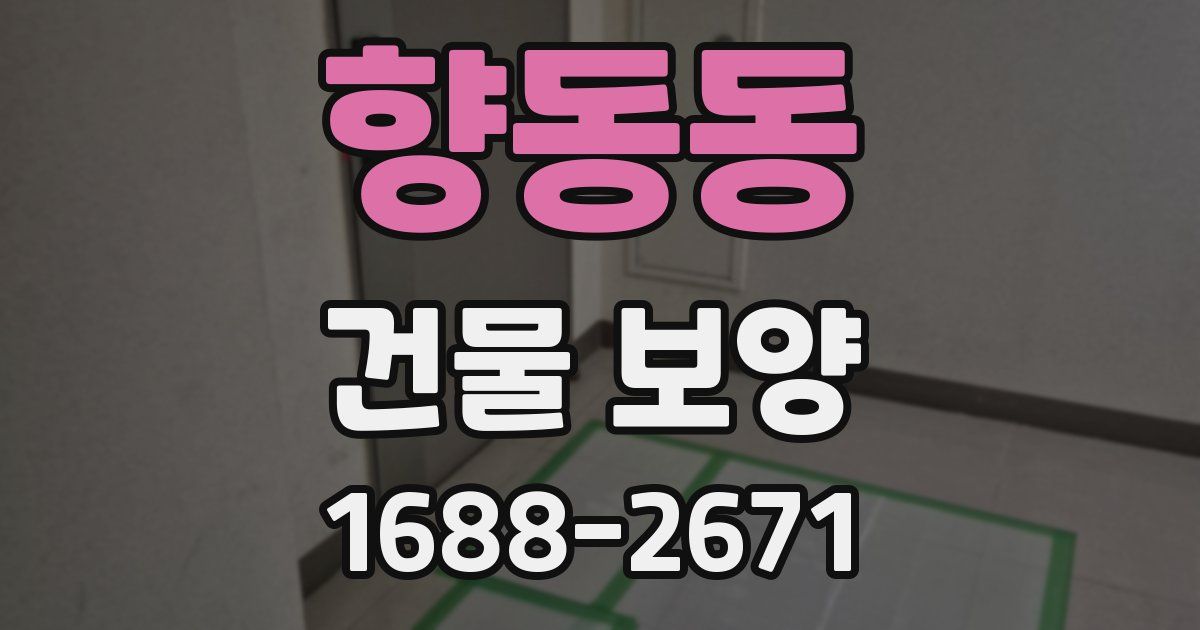 향동동 건물 보양