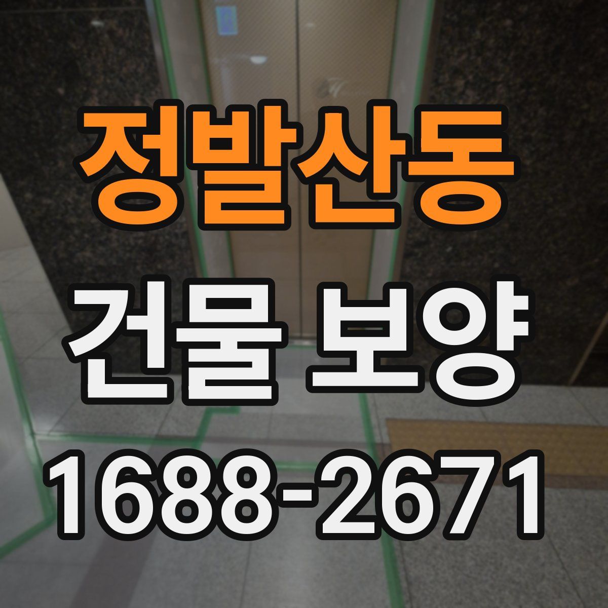 정발산동 건물 보양