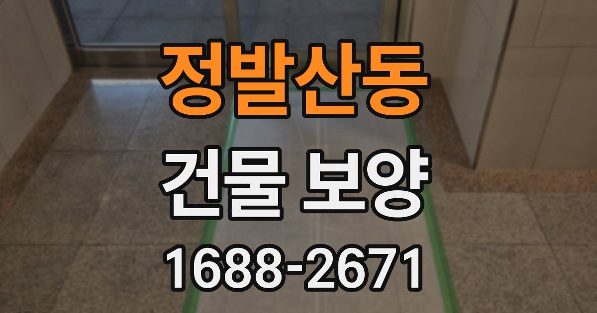 정발산동 건물 보양