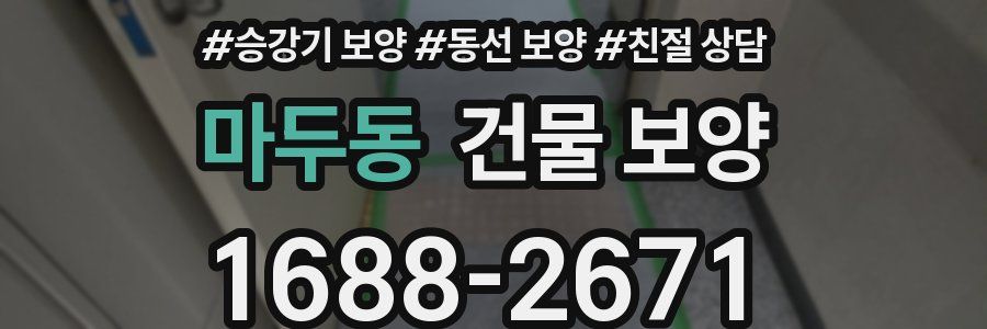 마두동 건물 보양