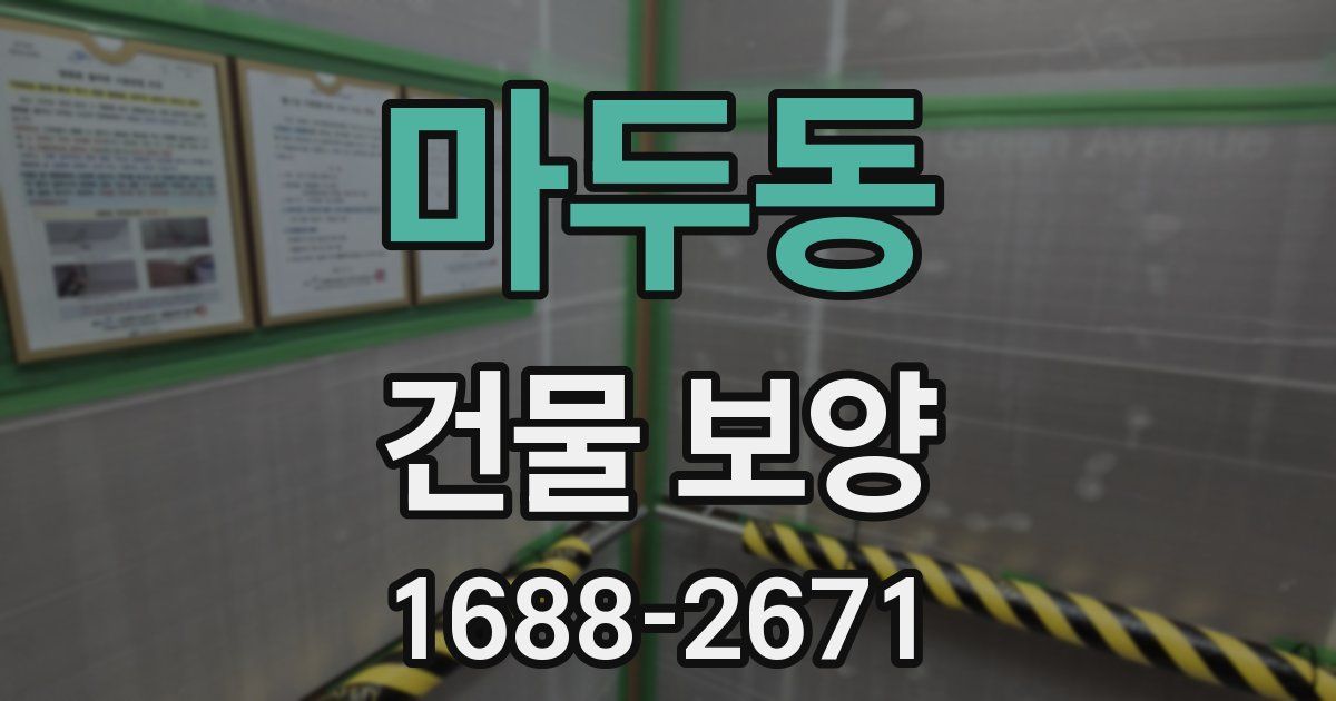 마두동 건물 보양