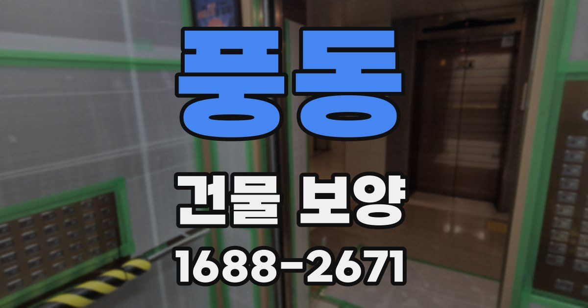 풍동 건물 보양