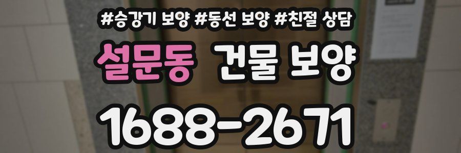 설문동 건물 보양