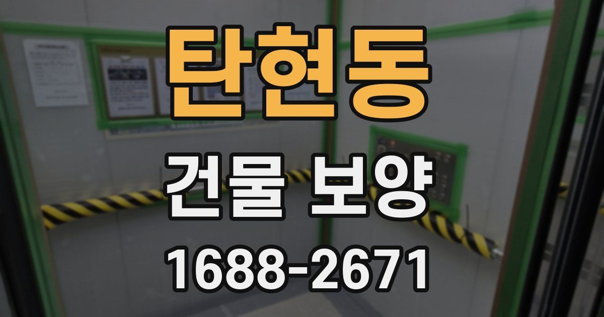 탄현동 건물 보양