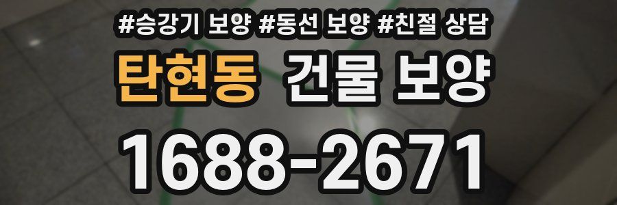 탄현동 건물 보양