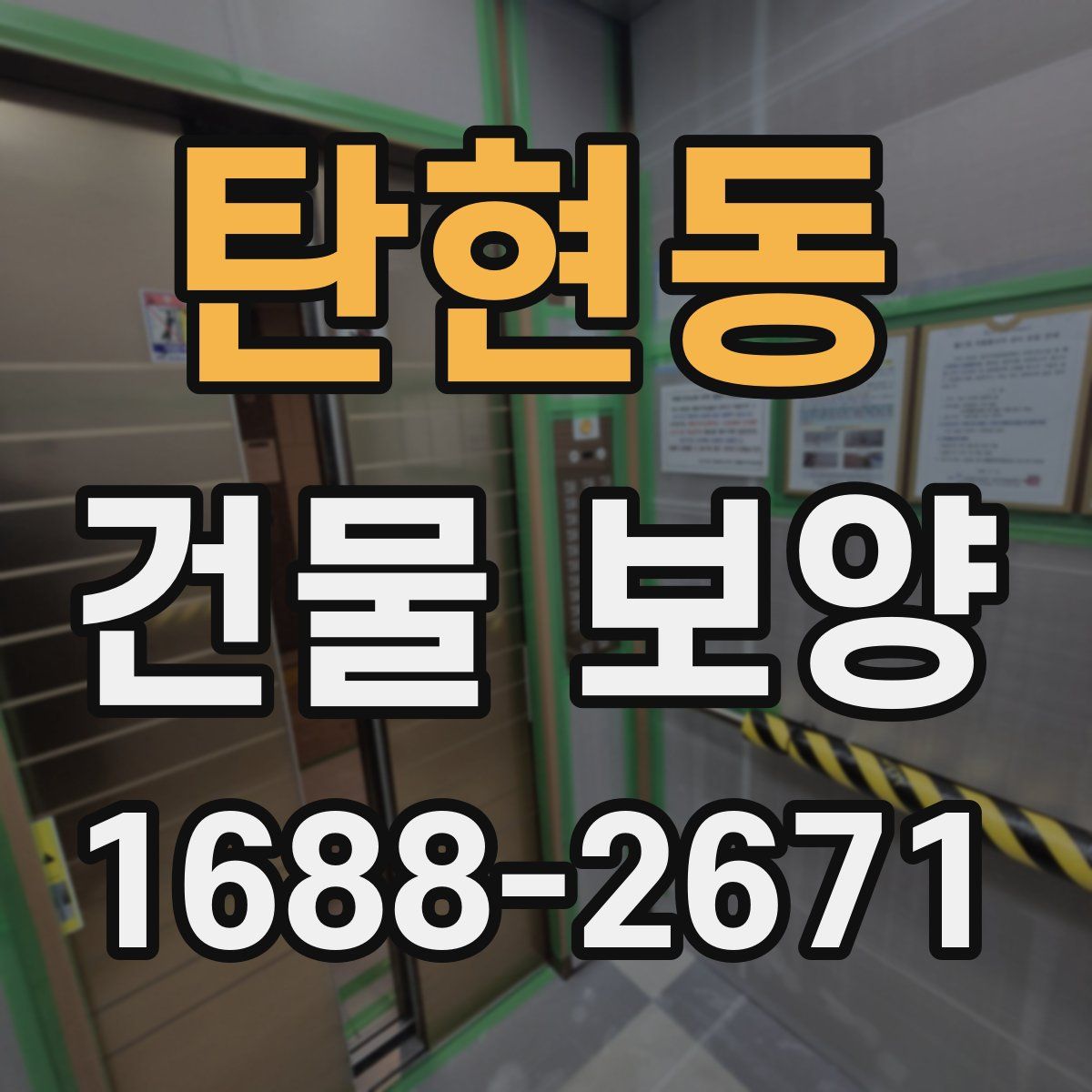 탄현동 건물 보양