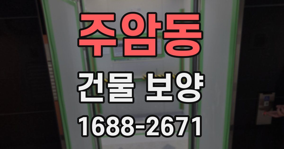 주암동 건물 보양
