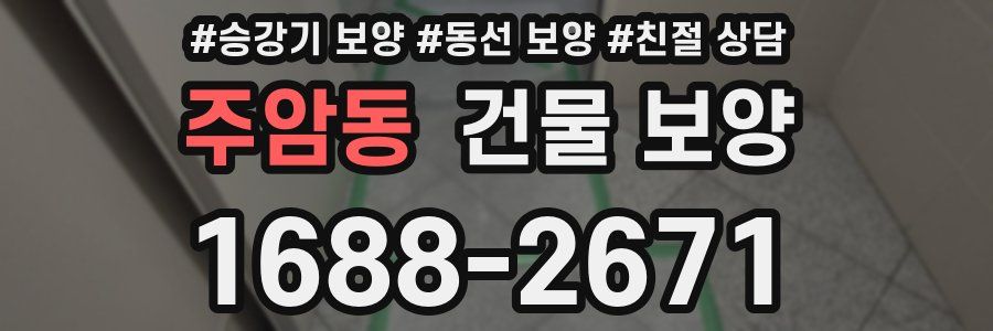 주암동 건물 보양