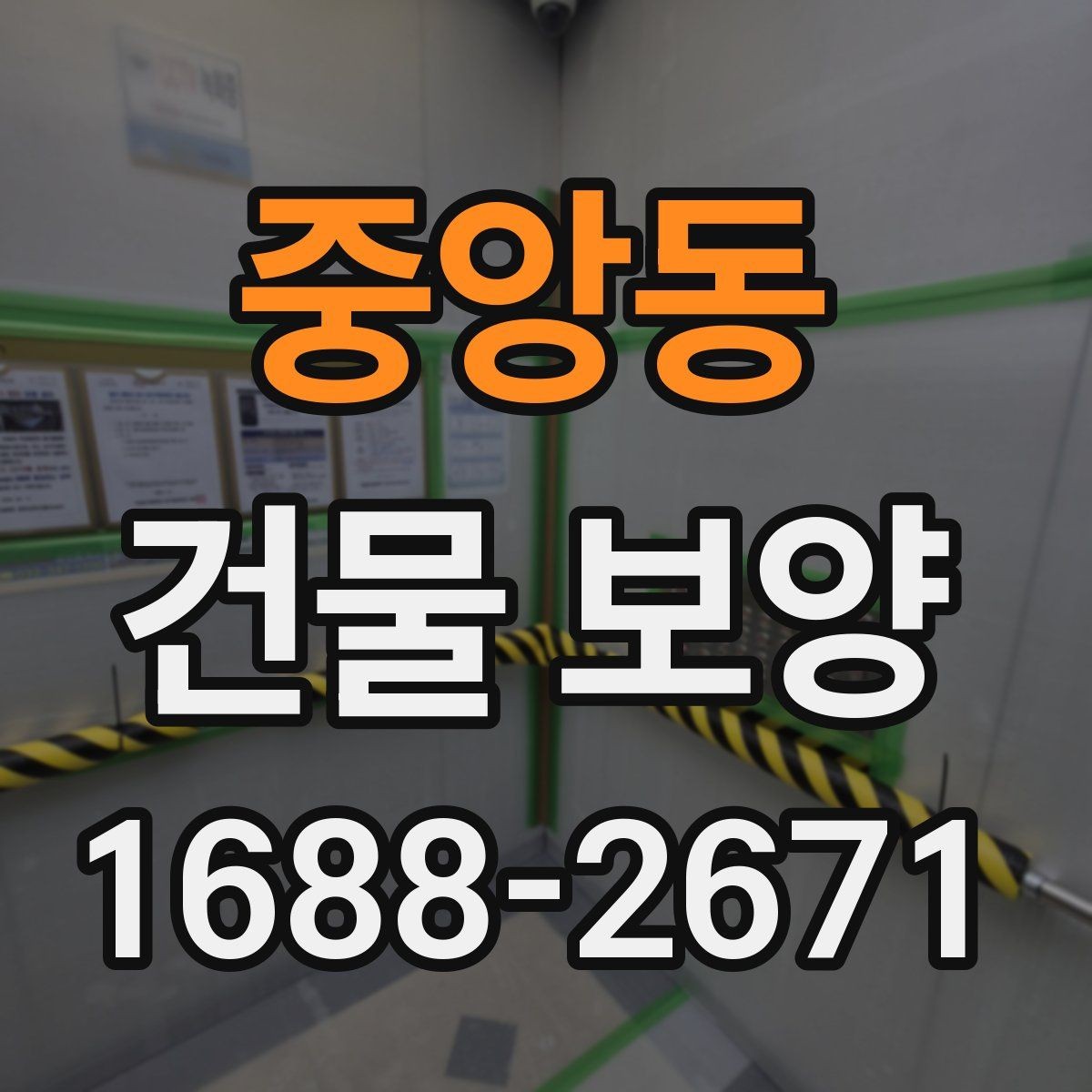 중앙동 건물 보양 관련 문의가 많은 이유 정리
