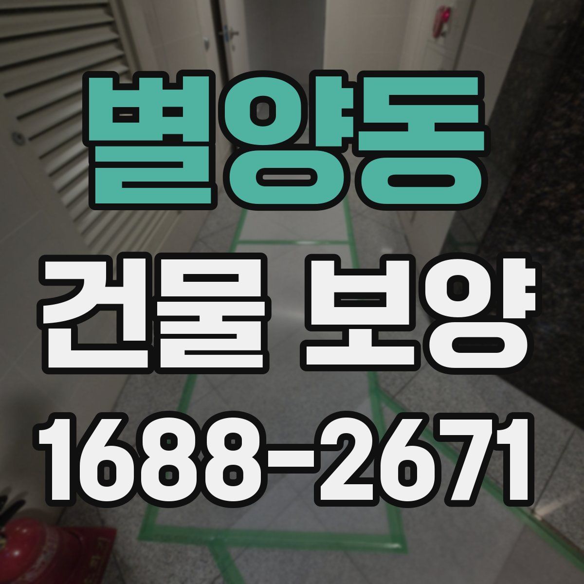 별양동 건물 보양