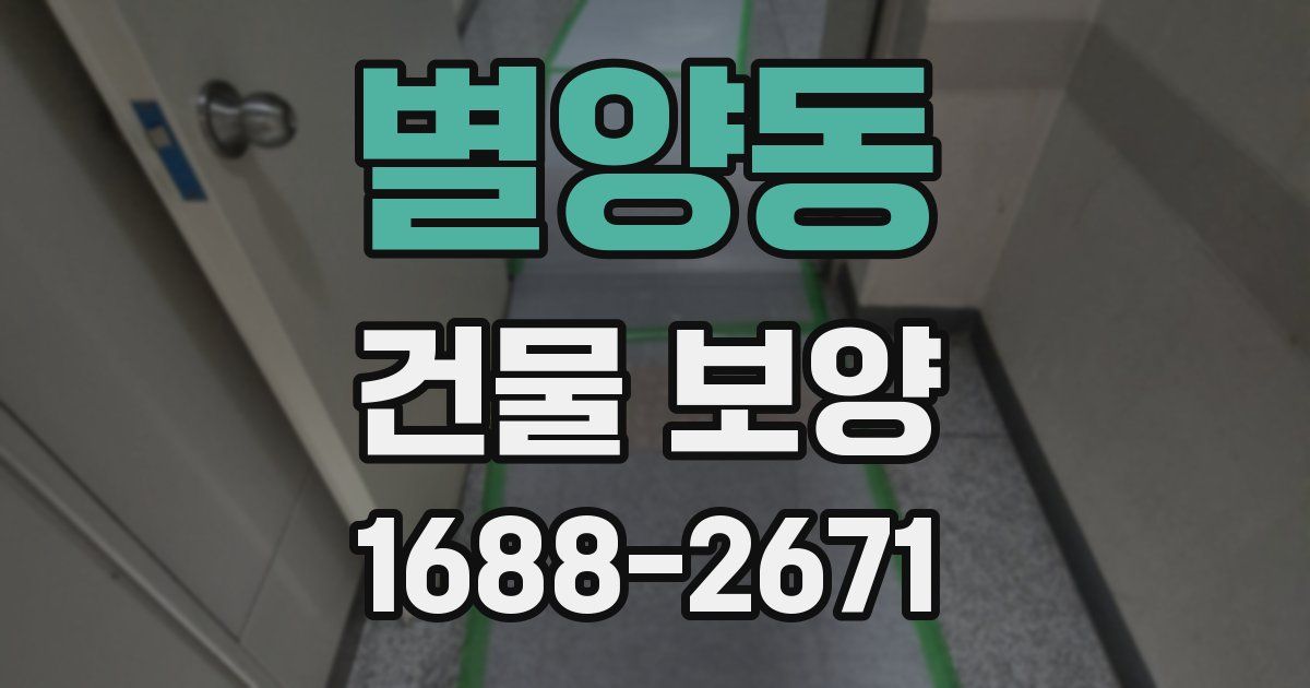 별양동 건물 보양