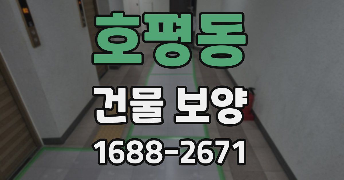 호평동 건물 보양