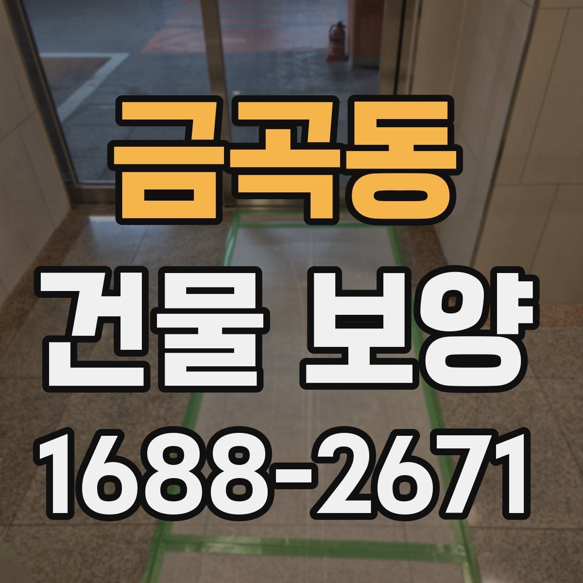 금곡동 건물 보양 작업의 실무 기준과 적용 범위