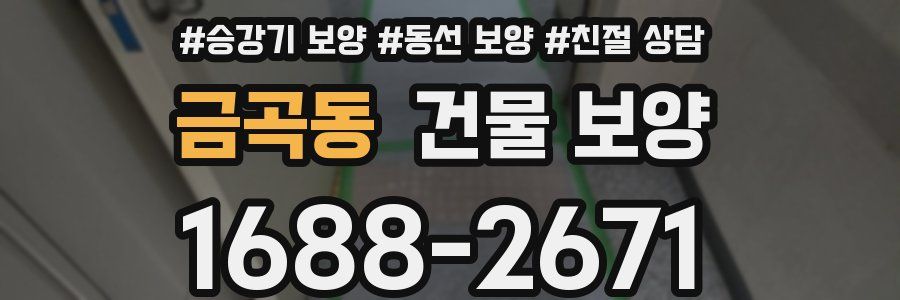 금곡동 건물 보양