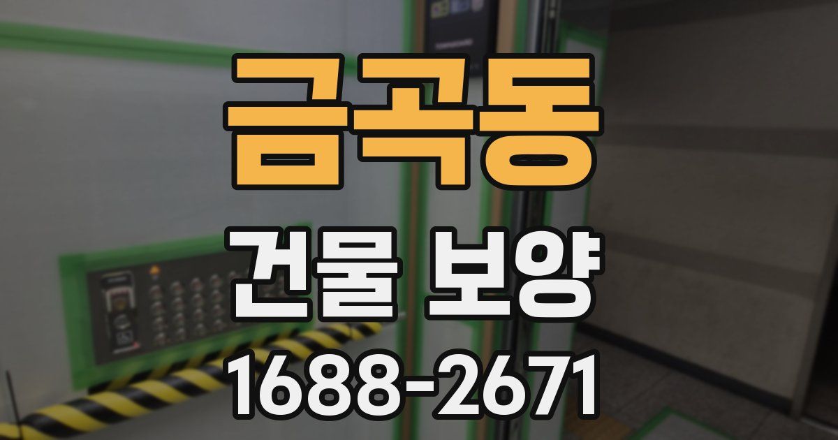 금곡동 건물 보양