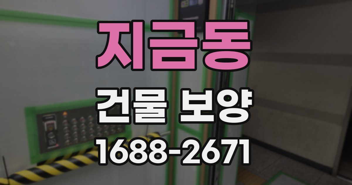 지금동 건물 보양