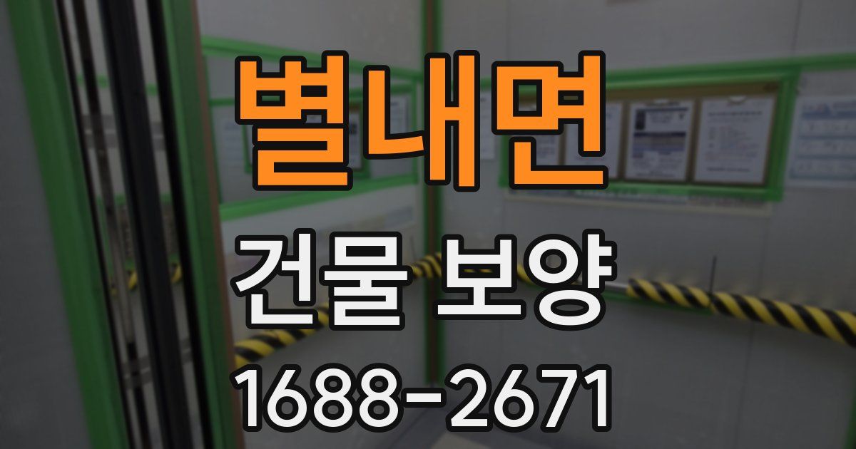별내면 건물 보양