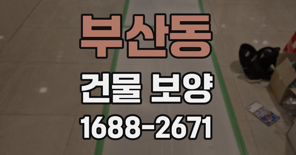 부산동 건물 보양