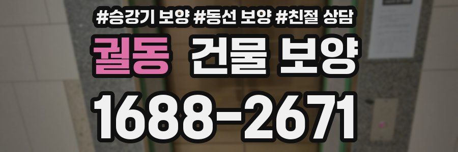 궐동 건물 보양