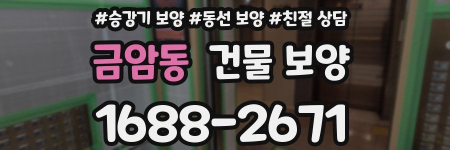 금암동 건물 보양