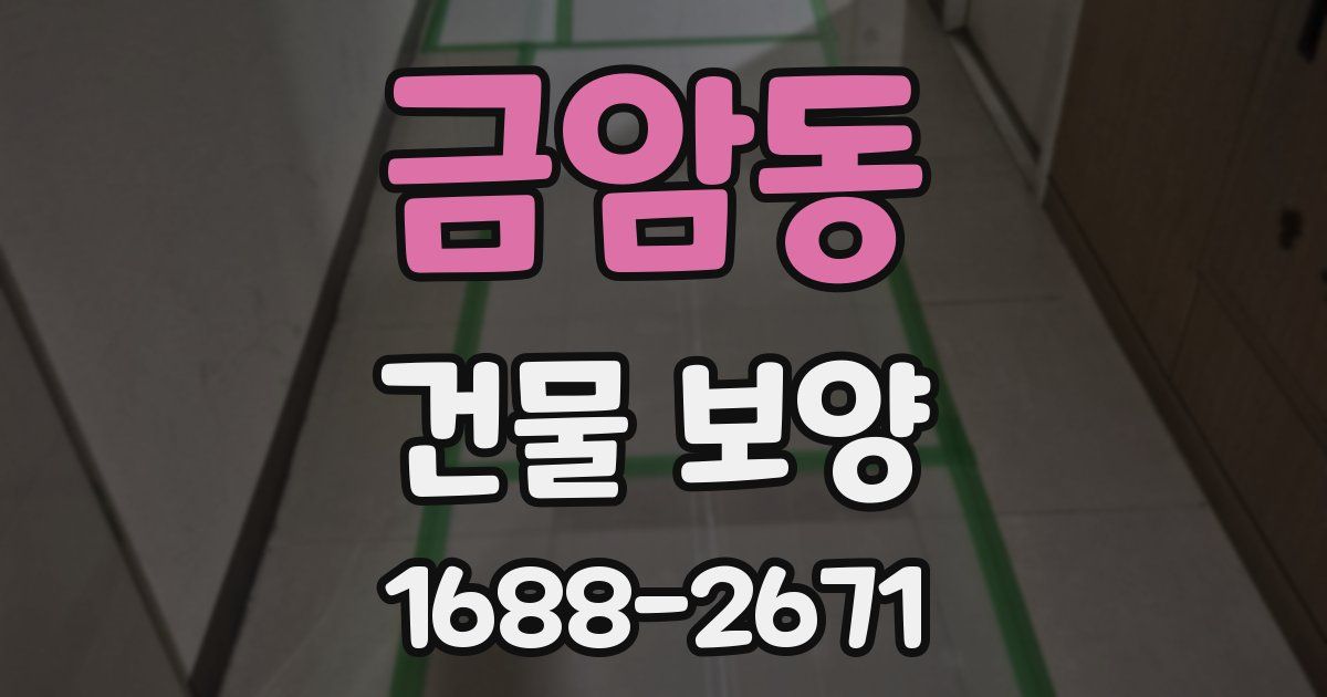 금암동 건물 보양