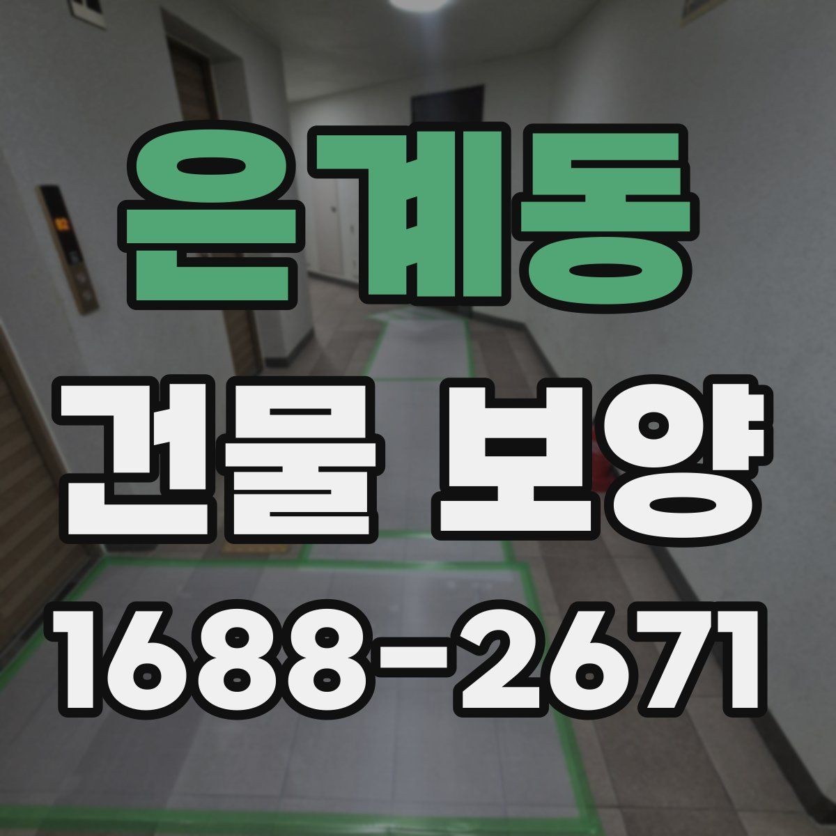 은계동 건물 보양 적용 범위와 사례 살펴보기