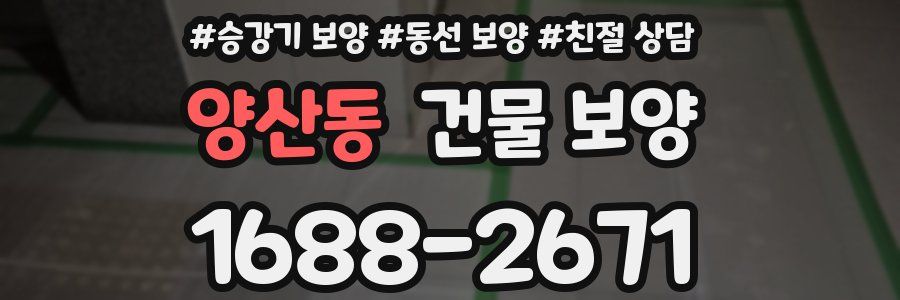 양산동 건물 보양