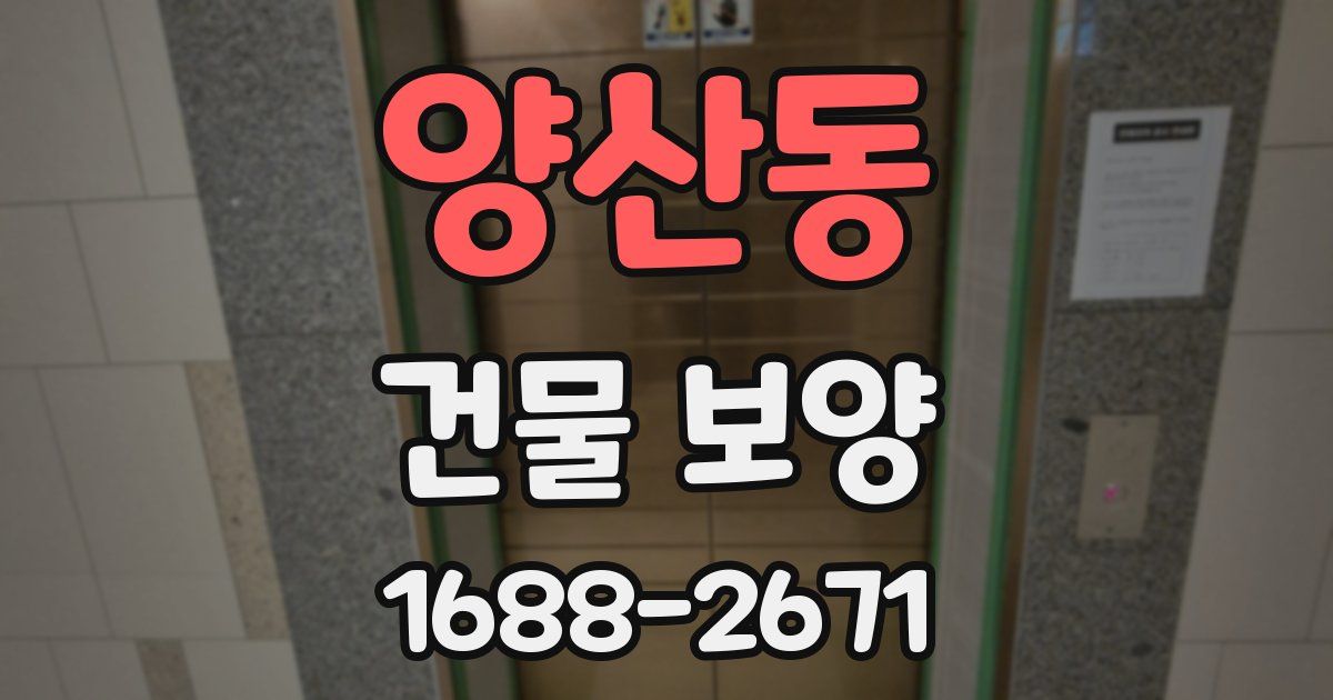 양산동 건물 보양