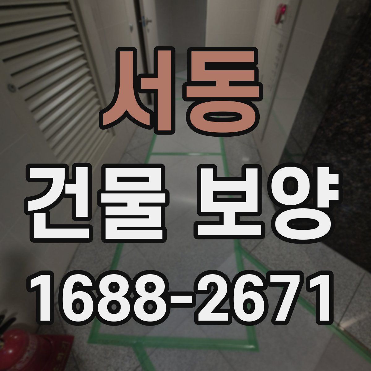 서동 건물 보양