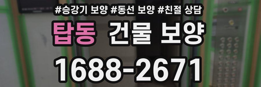 탑동 건물 보양