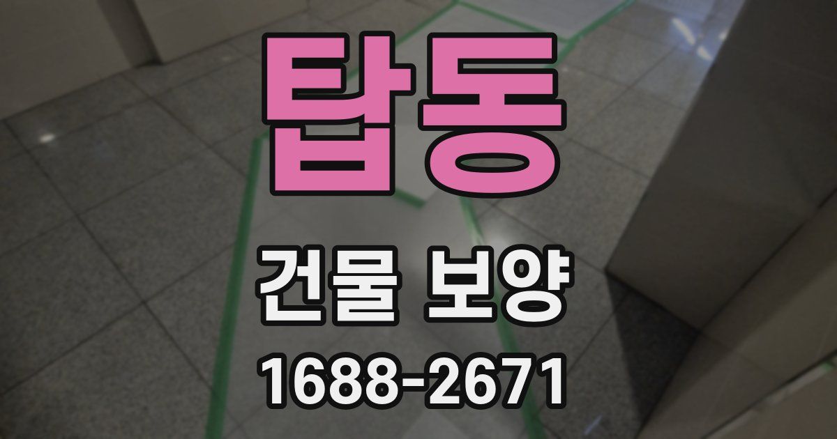 탑동 건물 보양