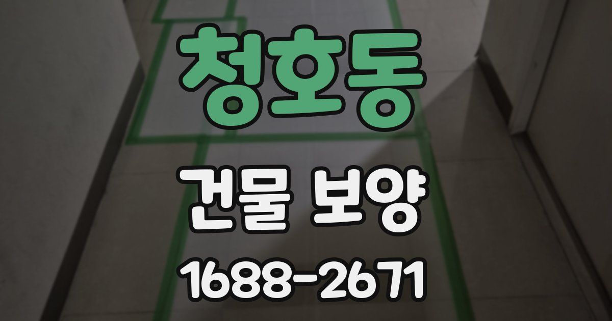 청호동 건물 보양