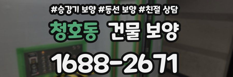 청호동 건물 보양