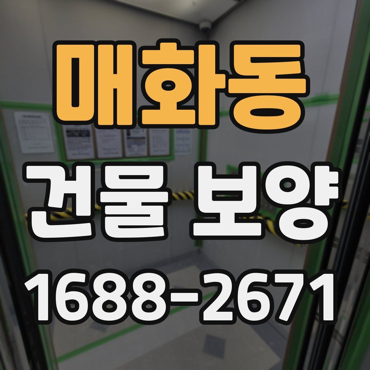 매화동 건물 보양 과정에서 생길 수 있는 변수들