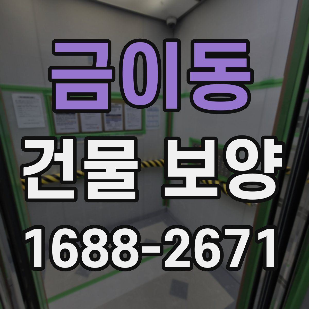 금이동 건물 보양