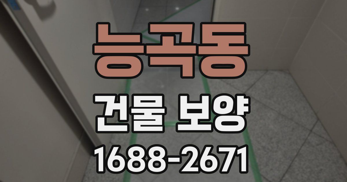 능곡동 건물 보양