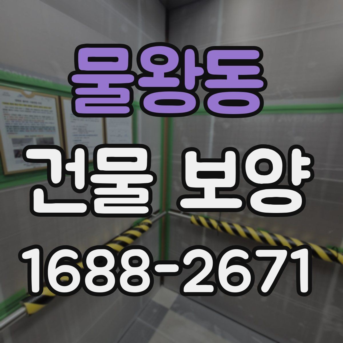 물왕동 건물 보양 보양 자재 고르는 기준과 활용 방법