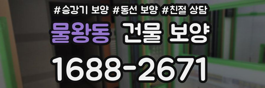물왕동 건물 보양