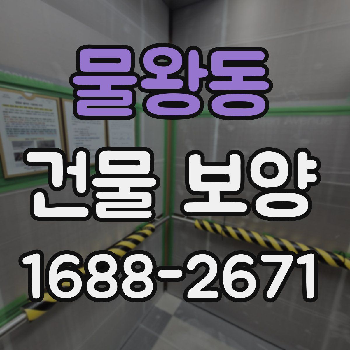 물왕동 건물 보양