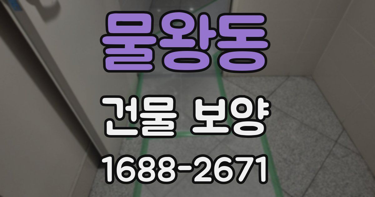 물왕동 건물 보양