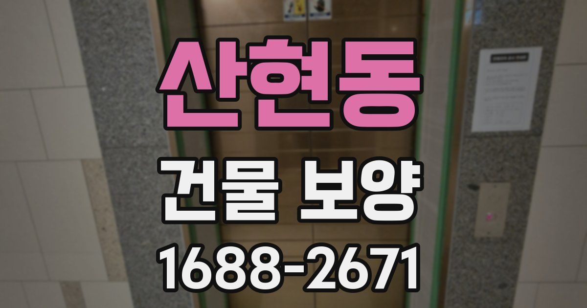 산현동 건물 보양