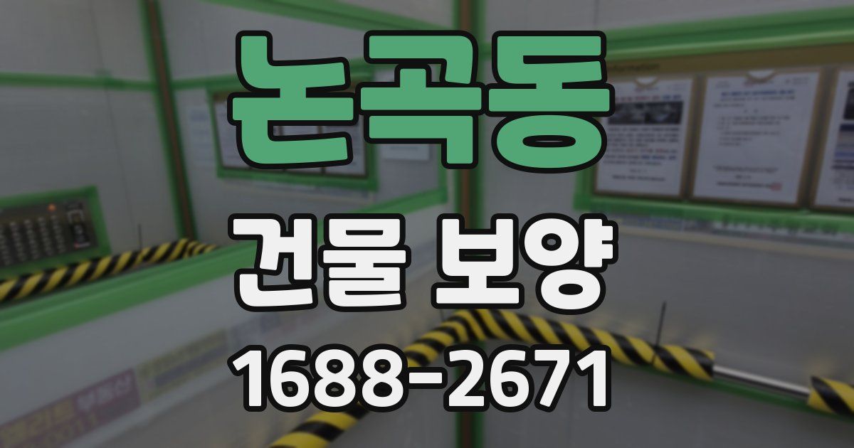 논곡동 건물 보양