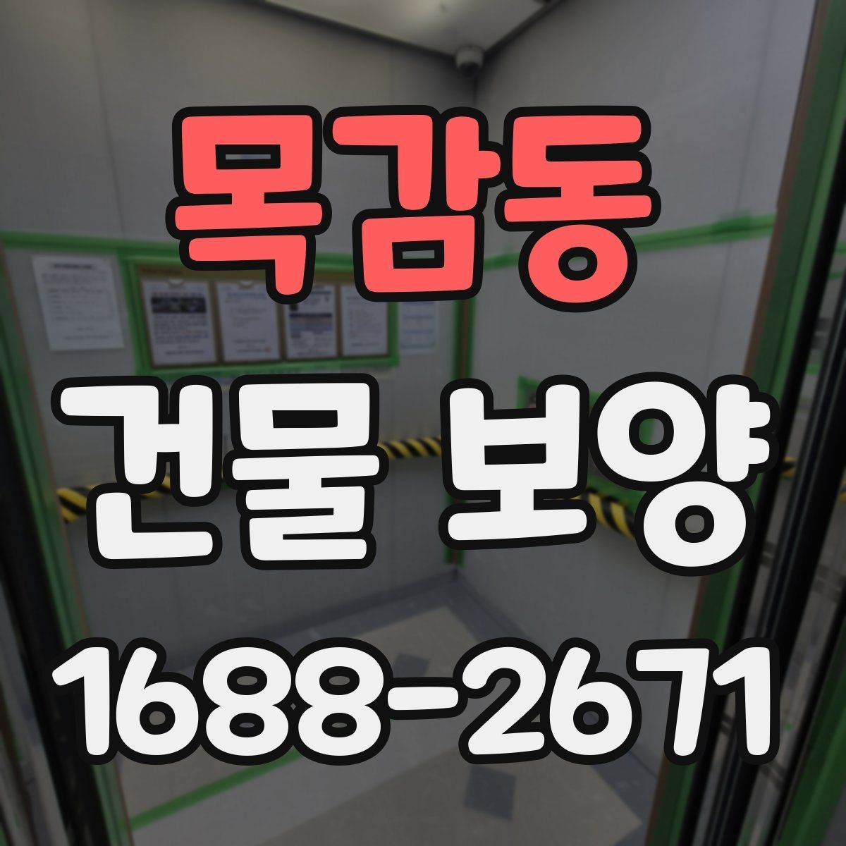 목감동 건물 보양 후 유지보수까지 고려한 계획